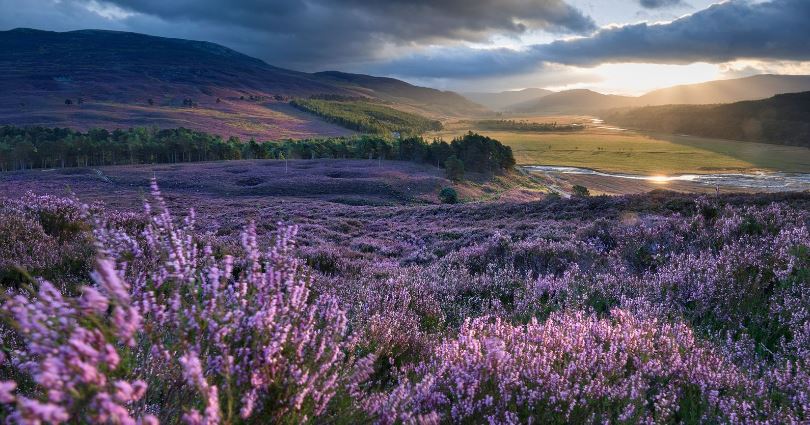 GGUK Scotland